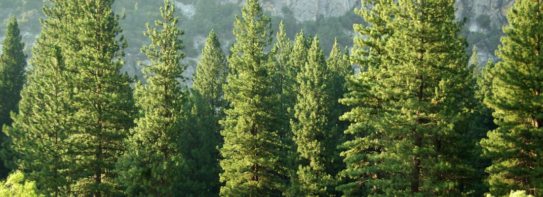 How to win new customers by improving your climate credentials