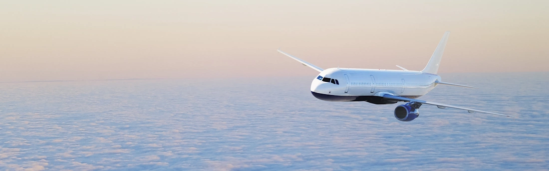 New Flight Manager Added To Voyage Manager Portfolio