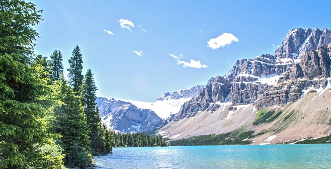 Boost your corporate reputation by cutting your climate footprint – here’s how